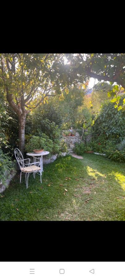 Casa Nani Villa Benaocaz Kültér fotó