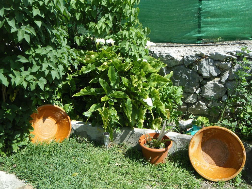 Casa Nani Villa Benaocaz Kültér fotó